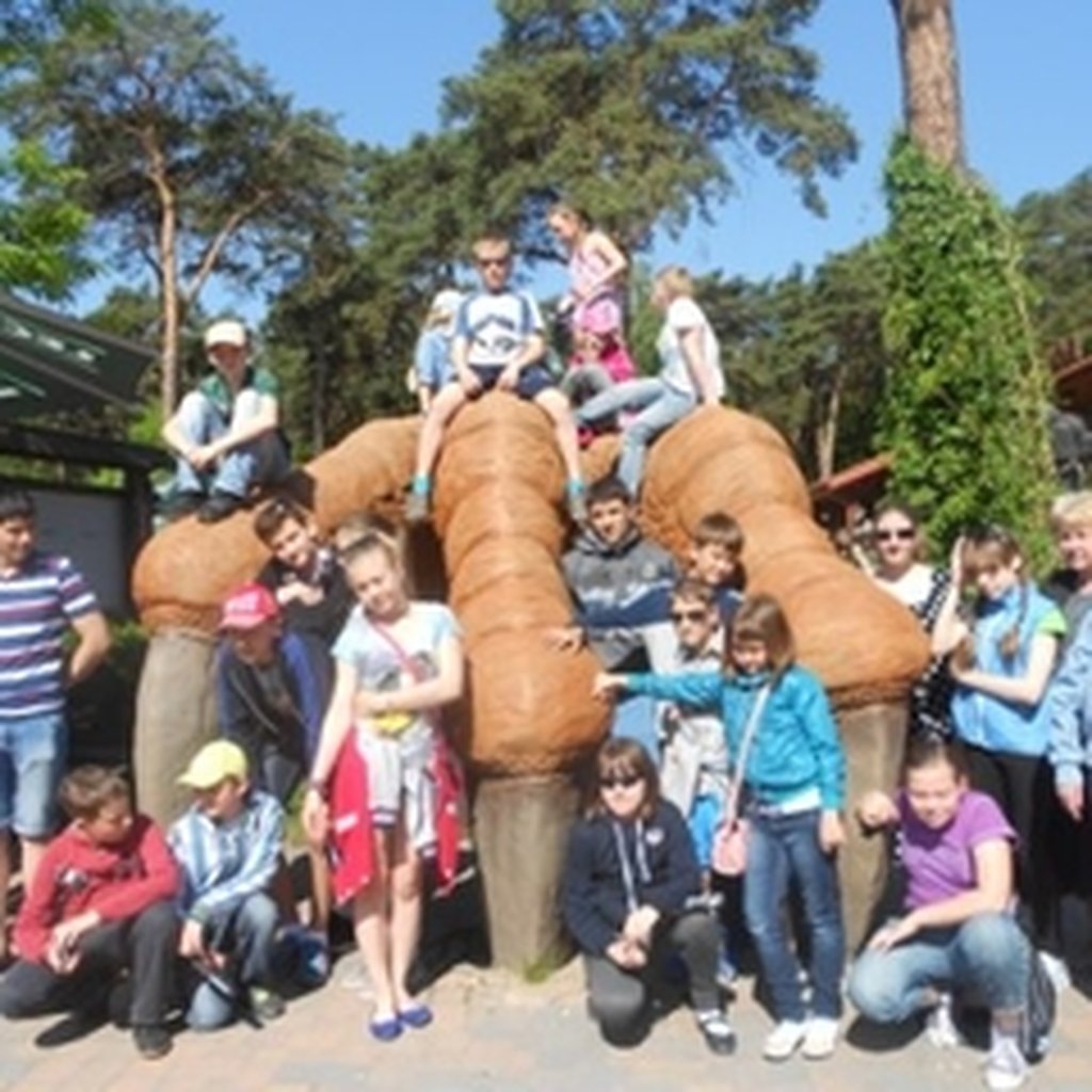 lenta_image_7